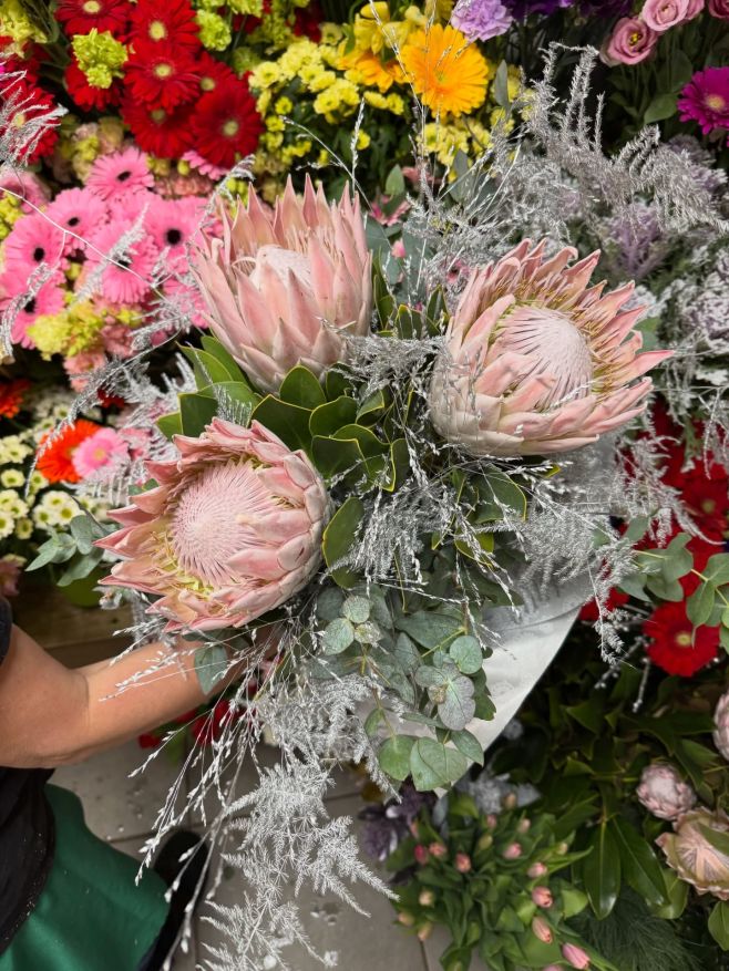 🌸 Víte, že protea symbolizuje sílu, odvahu a jedinečnost? Exotická krása, která zaujme na první pohled a promění každou...